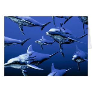 Blue Dolphin