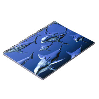 Blue Dolphin Notebook