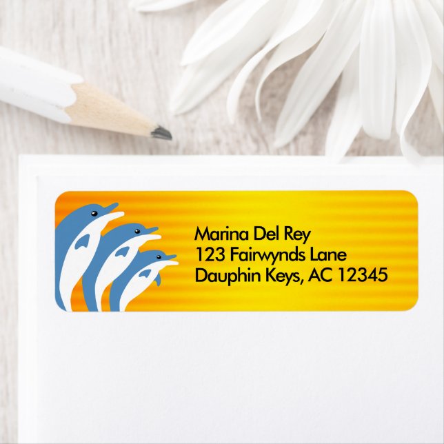 Blue Dolphins Dancing in the Tropical Sun (Insitu)