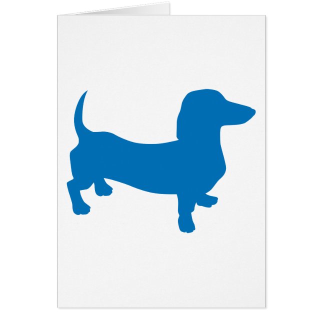 Blue Doxie, Dachshund (Front)