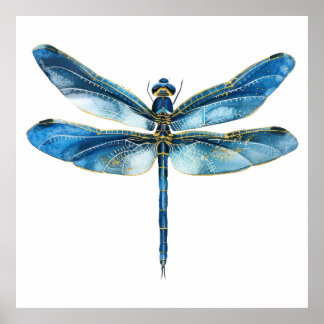   Blue dragonfly  40 x 40 Poster