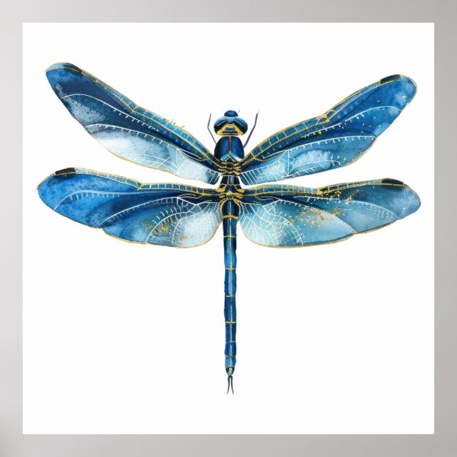   Blue dragonfly  40 x 40 Poster (Front)