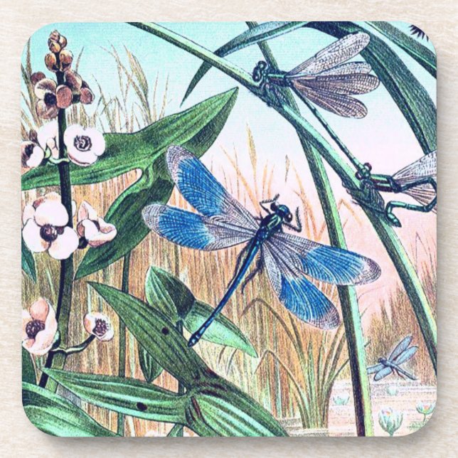 Blue Dragonfly at the pond illustration coasters (Front)