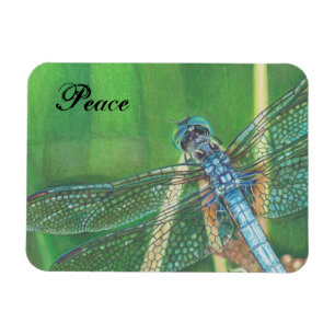 Blue Dragonfly colour pencil art on Magnet