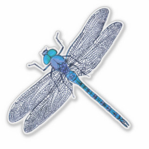 Blue Dragonfly Contour