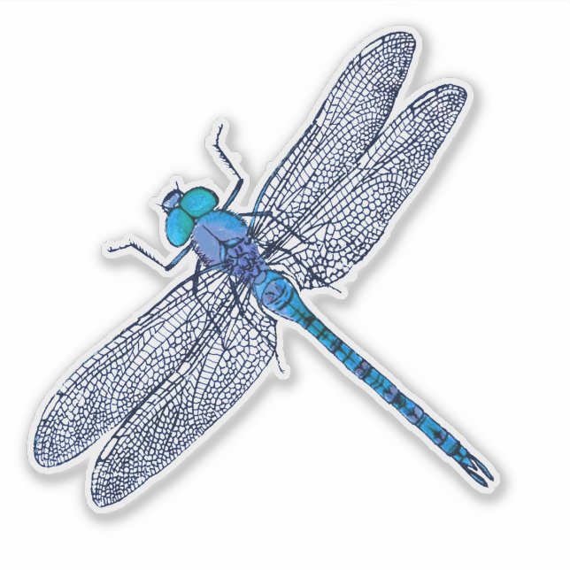 Blue Dragonfly Contour (Front)