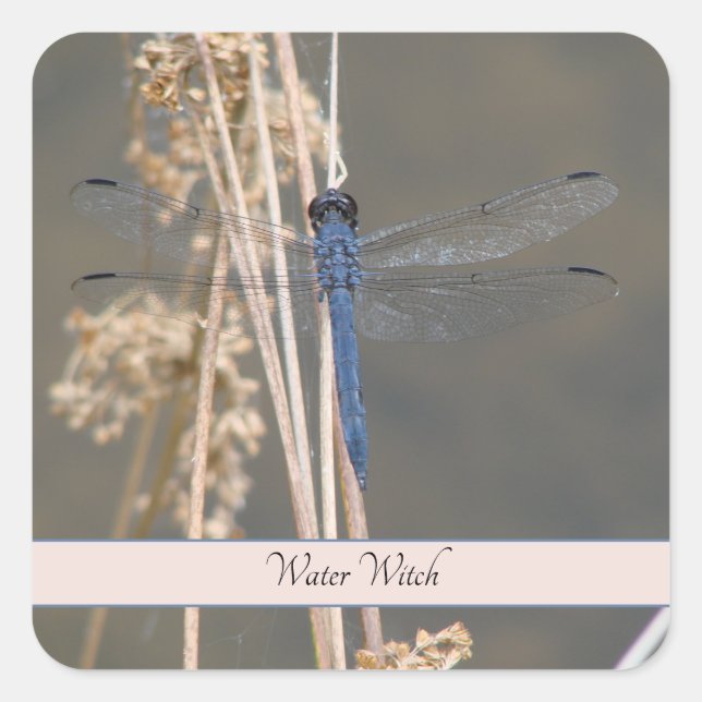 Blue dragonfly, customisable square sticker (Front)