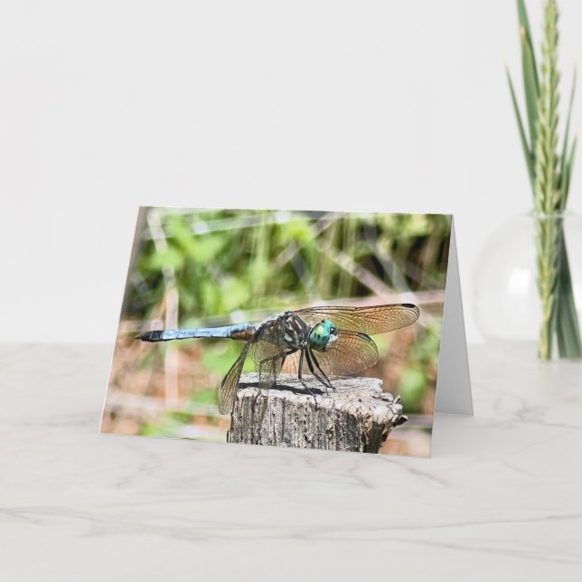 Blue Dragonfly Greeting  Card (Front)