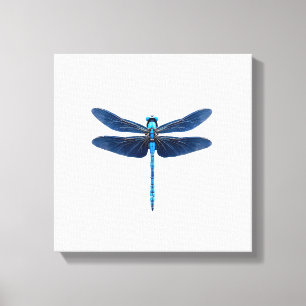 Blue Dragonfly - Insect Wildlife Animal Lover Ento Canvas Print