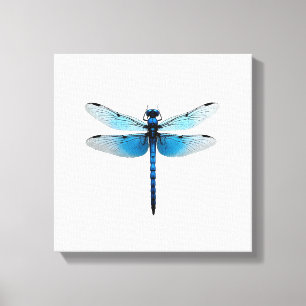 Blue Dragonfly - Insect Wildlife Animal Lover Ento Canvas Print