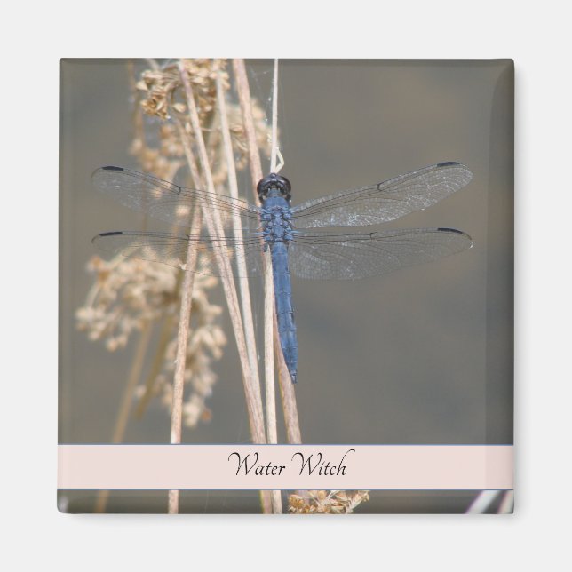Blue dragonfly magnet (Front)