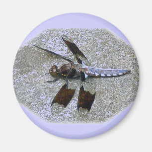 Blue Dragonfly Magnet