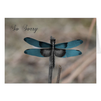 Blue Dragonfly Nature Sympathy Card