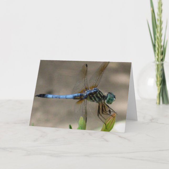 Blue Dragonfly Notecard (Front)