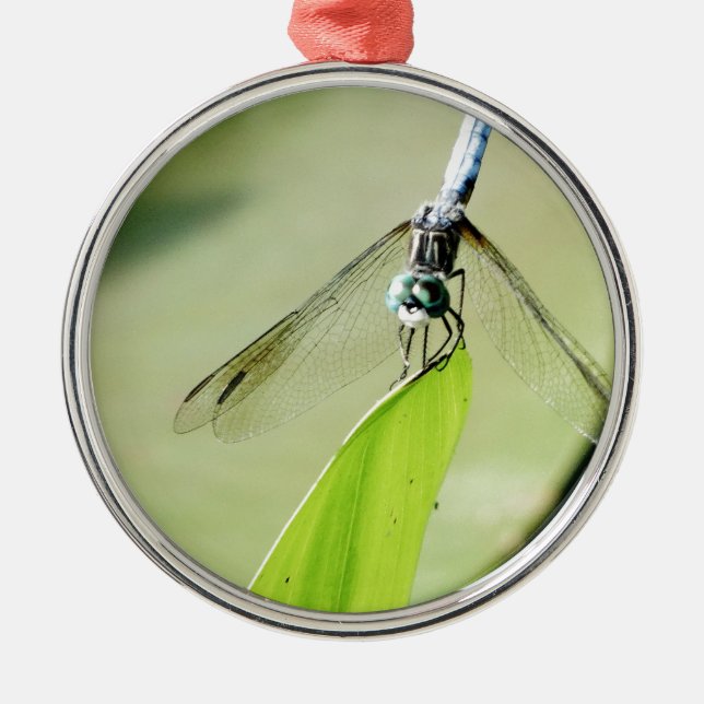Blue Dragonfly on a green leaf Metal Tree Decoration (Front)