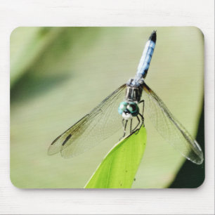 Blue Dragonfly on a green leaf Mouse Pad