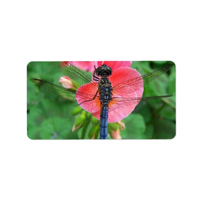 Blue dragonfly on pink flower green background label (Front)