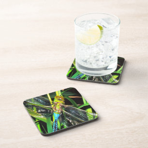 Blue Dragonfly Shimmering Wings Painting Coaster