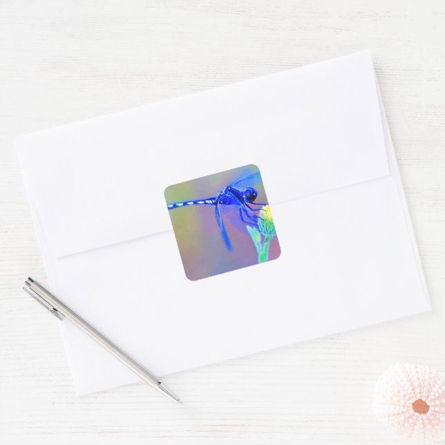 Blue Dragonfly Square Sticker (Envelope)