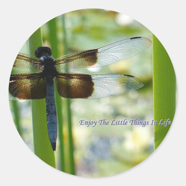 Blue Dragonfly Sticker (Front)