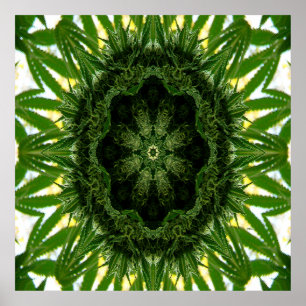 Blue Dream Mandala... Poster