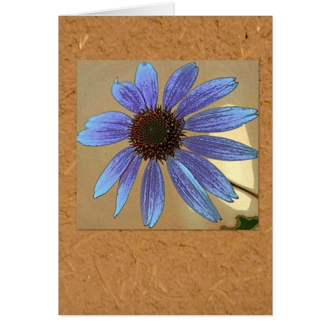 Blue echinacea (Front)