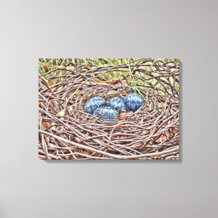 Blue Eggs In Nest Wrapped Canvas