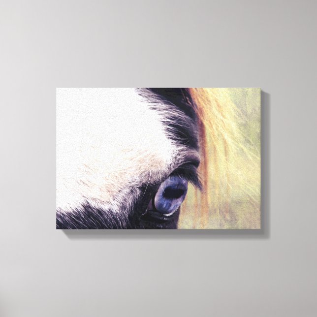 Blue Eye Canvas Print (Front)