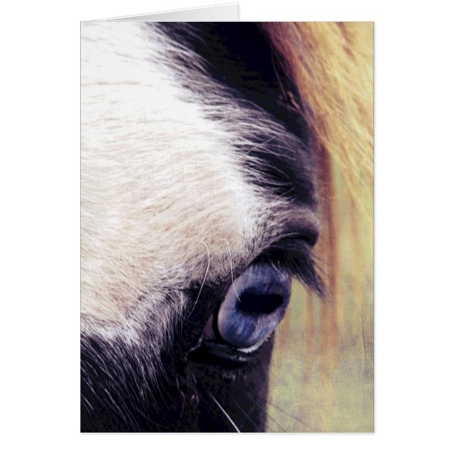 Blue Eye Horse (Front)