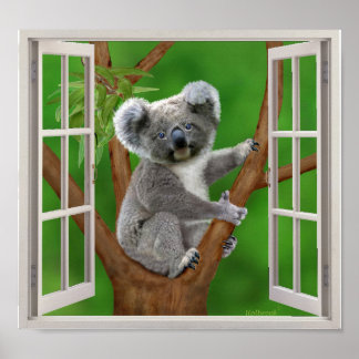 Blue-Eyed Baby Koala Bear Fake Window Poster