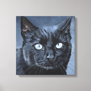 Blue Eyed Black Cat on Dark Blue Canvas Print