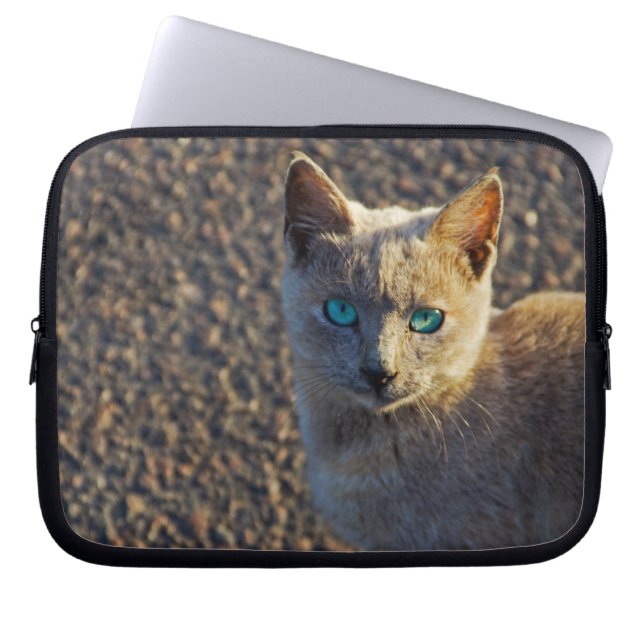 Blue Eyed cat Laptop Sleeve (Front)