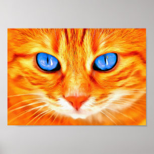 Blue-eyed Cat Poster