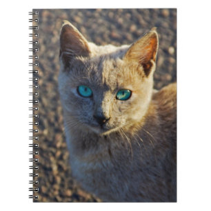 Blue Eyed cat Spiral Notebook