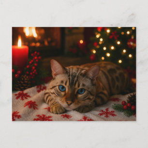 Blue-Eyed Christmas Cat Postcard Cozy Fireplace