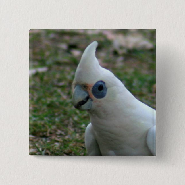 Blue Eyed Cockatoo 15 Cm Square Badge (Front)