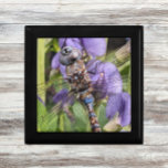 Blue-Eyed Darner Dragonfly on Flower Gift Box<br><div class="desc">For dragonfly and nature fans! Wooden gift box with tile inset for small trinkets and jewellery that features the photo image of a colourful Blue-Eyed Darner dragonfly resting on purple Aconite flowers. Select your gift box style and size.</div>