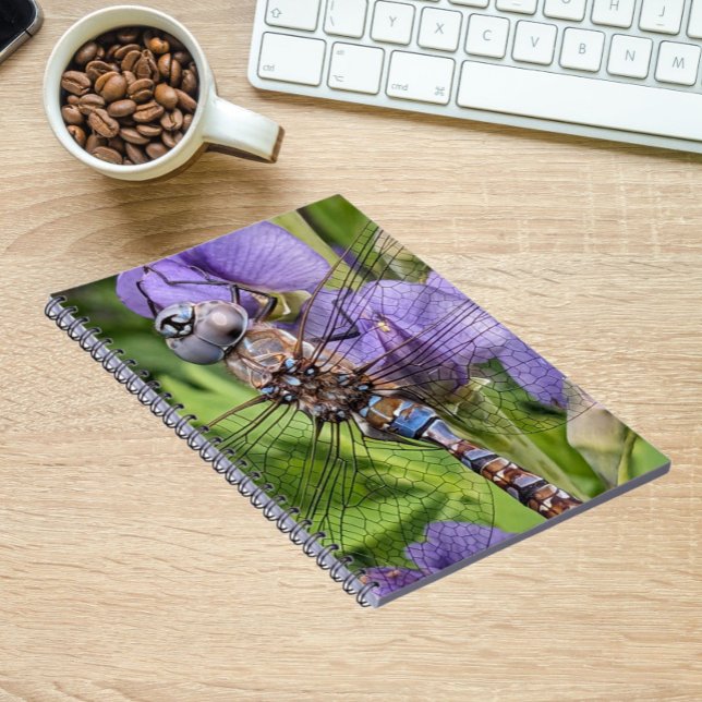 Blue-Eyed Darner Dragonfly on Flower Notebook (In Situ)