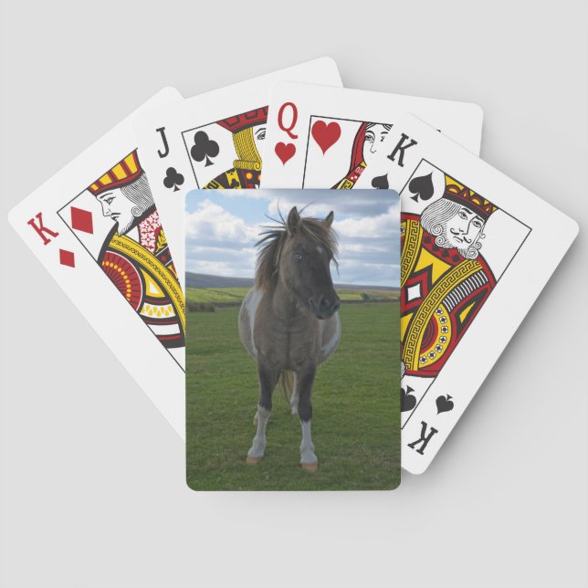 Blue Eyed Dartmoor Pony Playing Cards (Back)