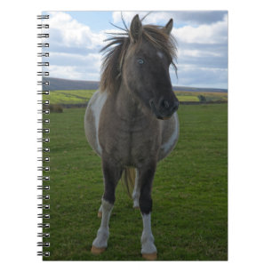 Blue Eyed Dartmoor Pony Playing Cards Notebook