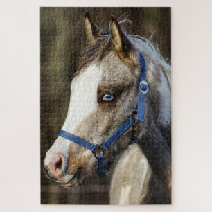 Blue Eyed Foal Jigsaw Puzzle