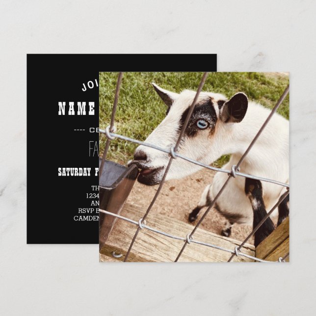 blue eyed goat invitation (Front/Back)