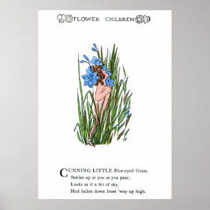 Blue-Eyed Grass Poster