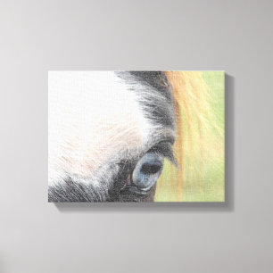 Blue Eyed Horse Canvas Print