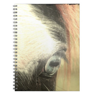 Blue-Eyed Horse Grunge Spiral Notebook