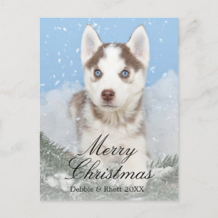 Blue eyed husky puppy sitting in snow holiday postcard