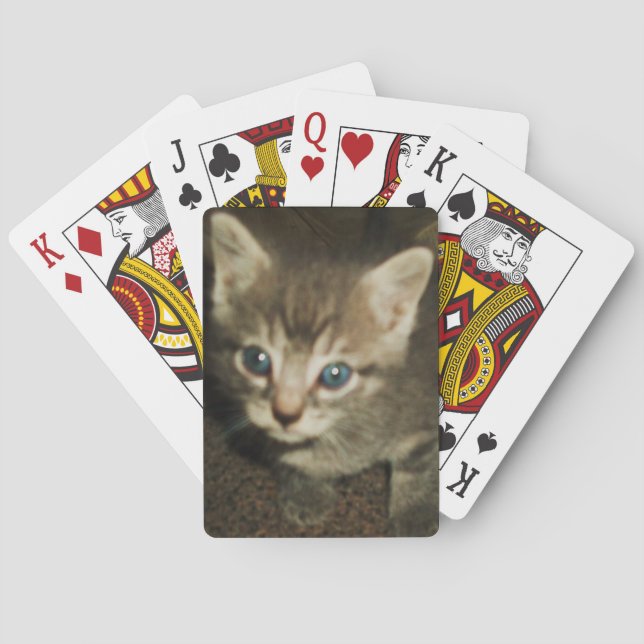 BLUE EYED KITTY playing cards (Back)