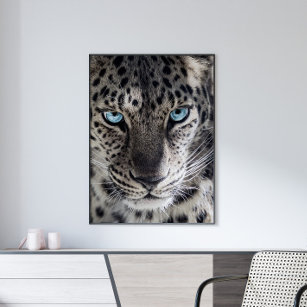 Blue Eyed Leopard Photography Art Poster
