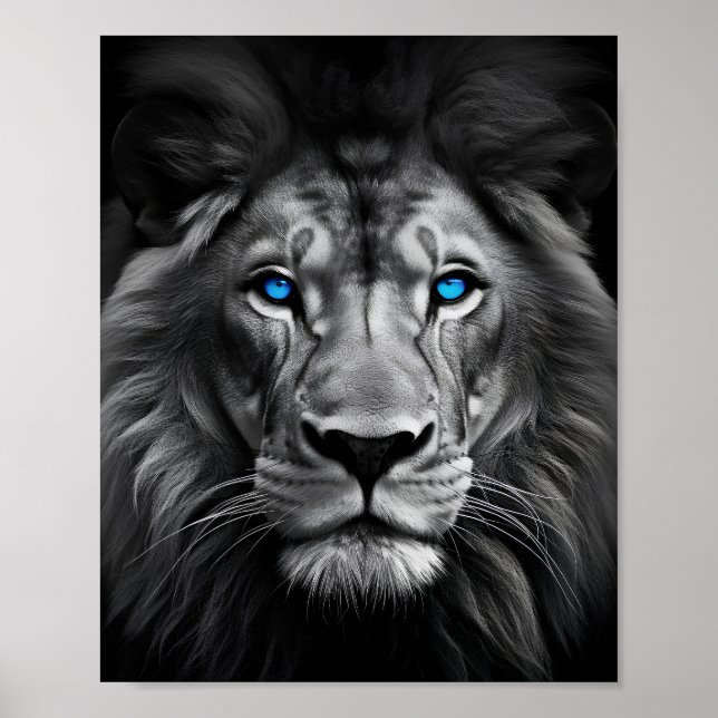 Blue Eyed Lion Poster (Front)