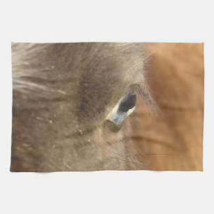 Blue Eyed Mini Horse Filly Tea Towel